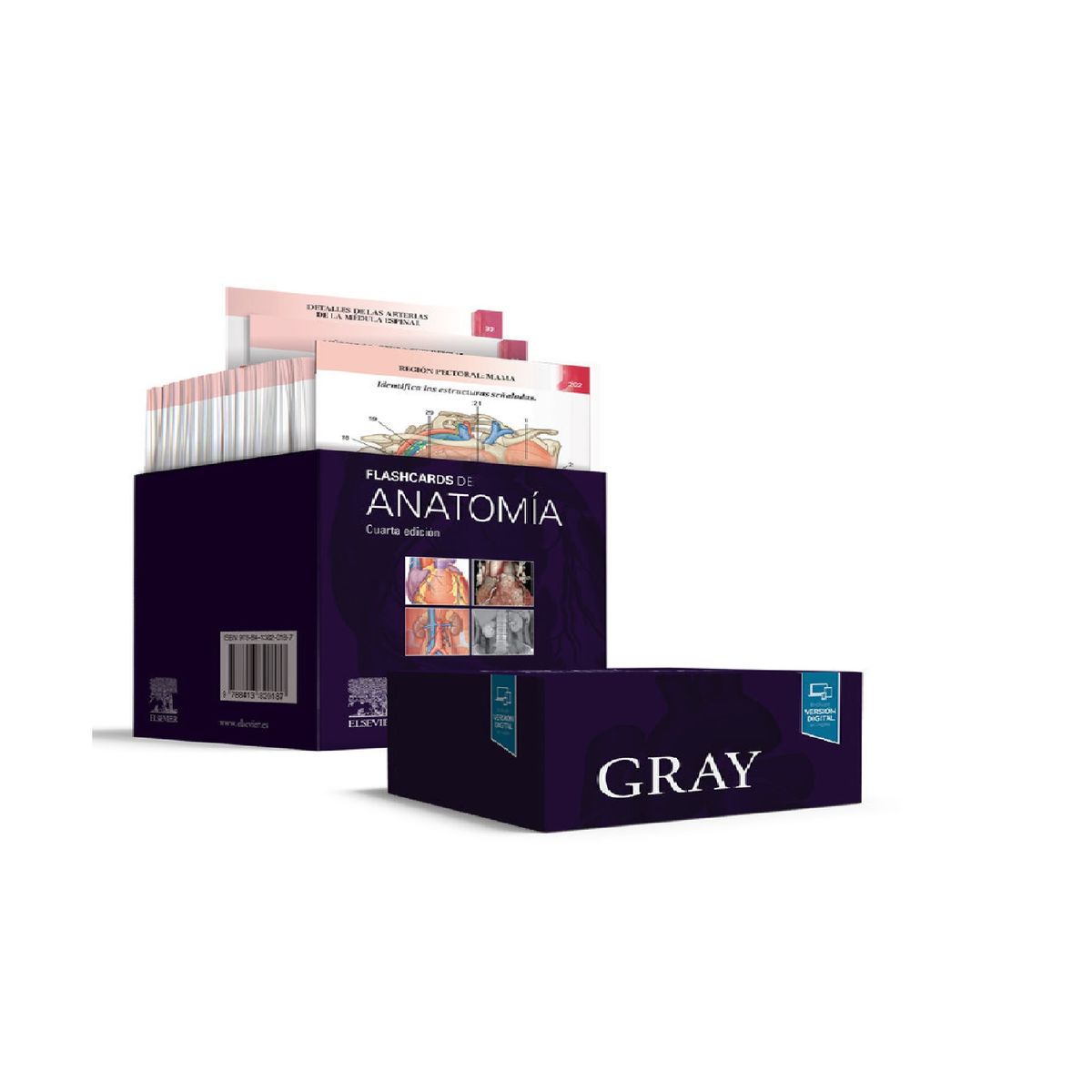 ELSEVIER - GRAY FLASHCARDS DE ANATOMIA