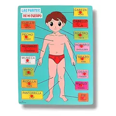 GENERICO - Partes Del Cuerpo Humano - 15 Piezas De Madera - Montessori