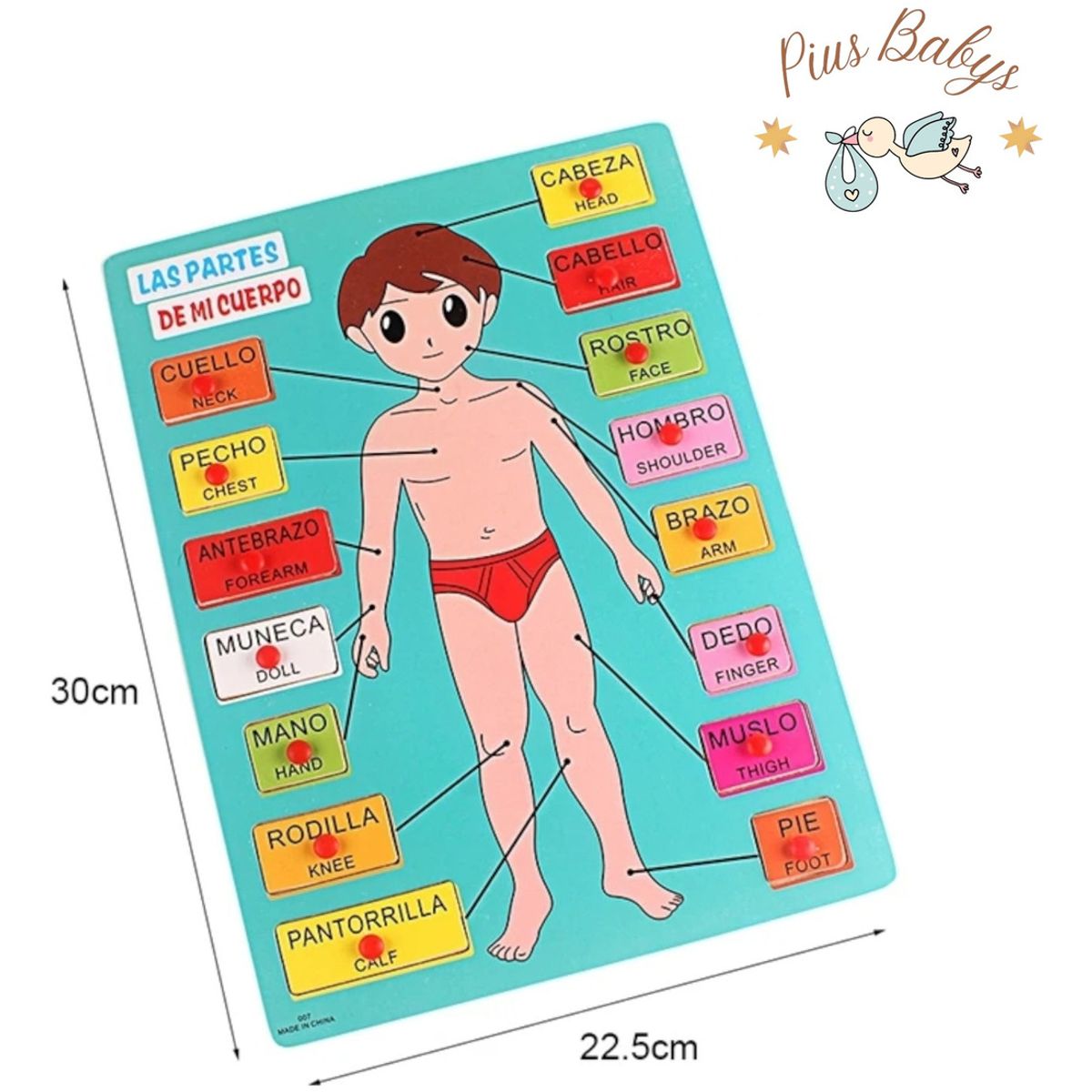 GENERICO - Partes Del Cuerpo Humano - 15 Piezas De Madera - Montessori