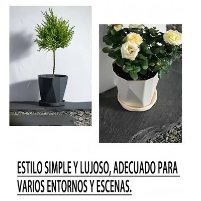 Imagen 2 del producto 6 Pcs Macetas De Plastico Con Separador De Agua Tricolor