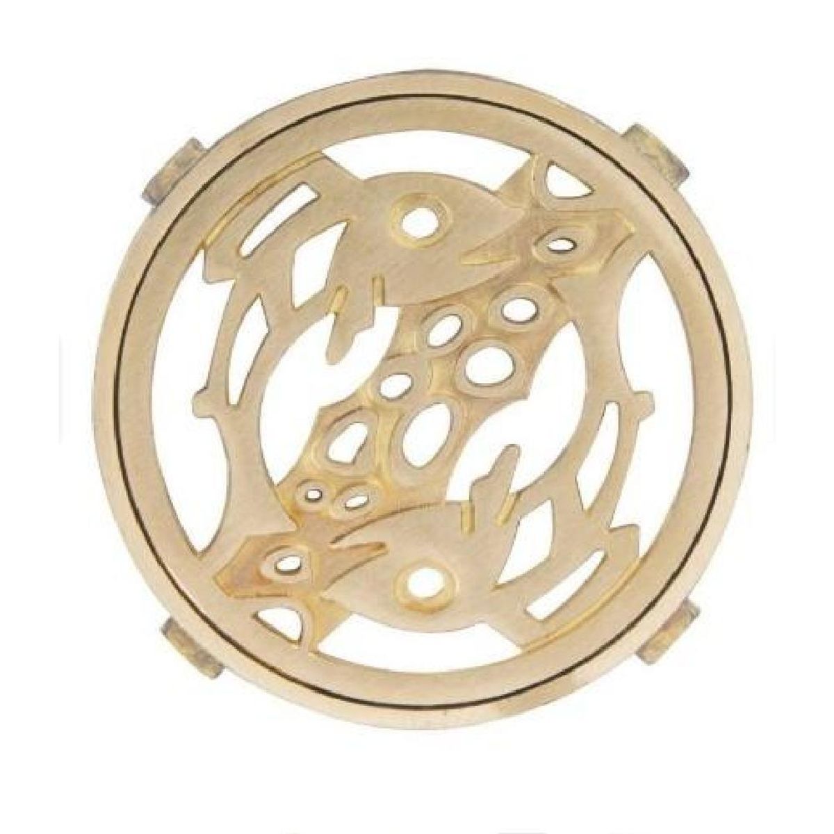 POLI - Rejilla Pileta Redonda 110mm Bronce ACERO INOXIDABLE POLI