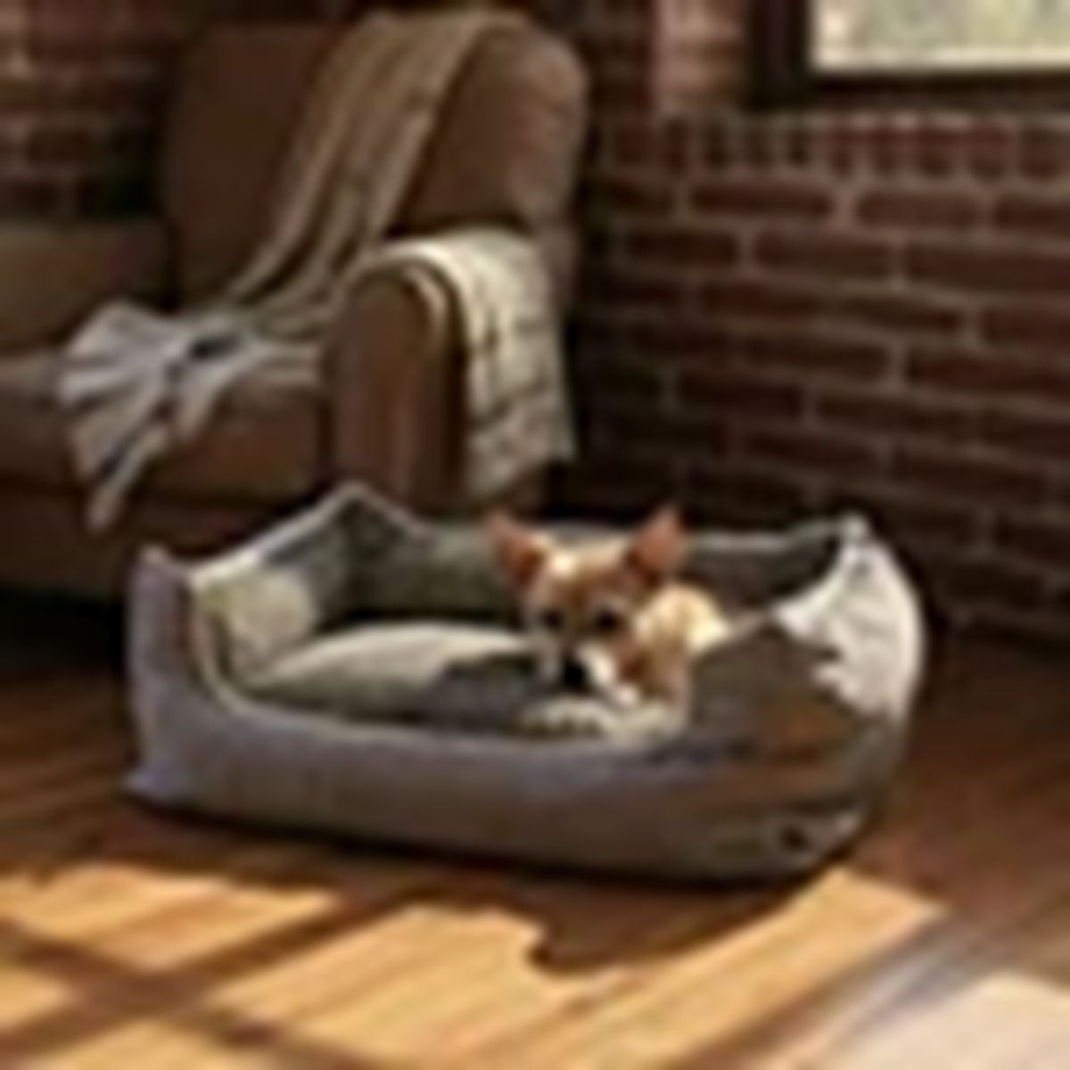 BLOCCARE - Cama Para Mascotas Espuma - Talla S Gris