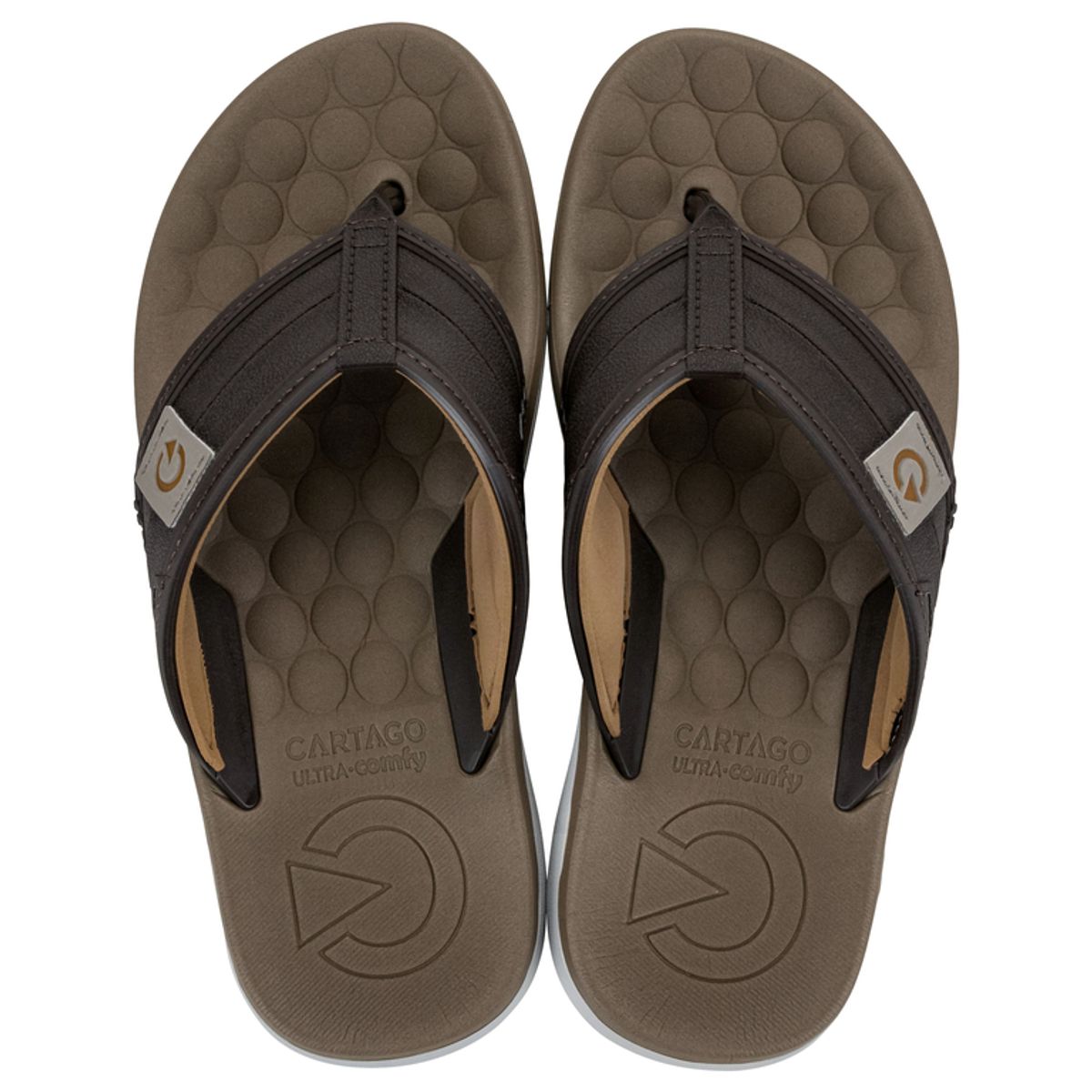 CARTAGO - Sandalia Hombre Café Sintra Cartago