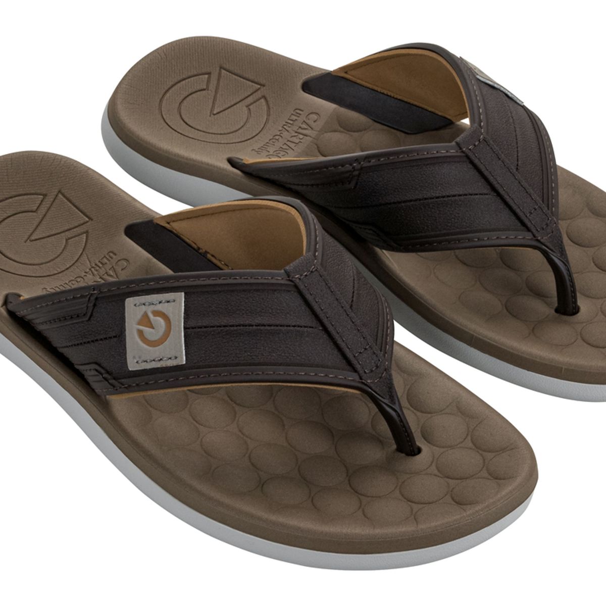 CARTAGO - Sandalia Hombre Café Sintra Cartago