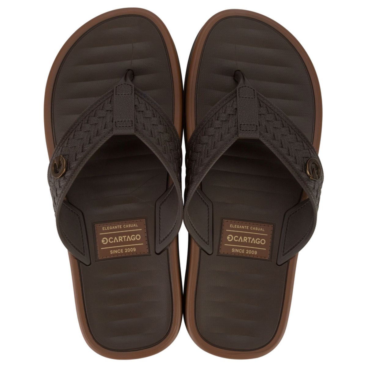 CARTAGO - Sandalia Hombre Café Coimbra Cartago