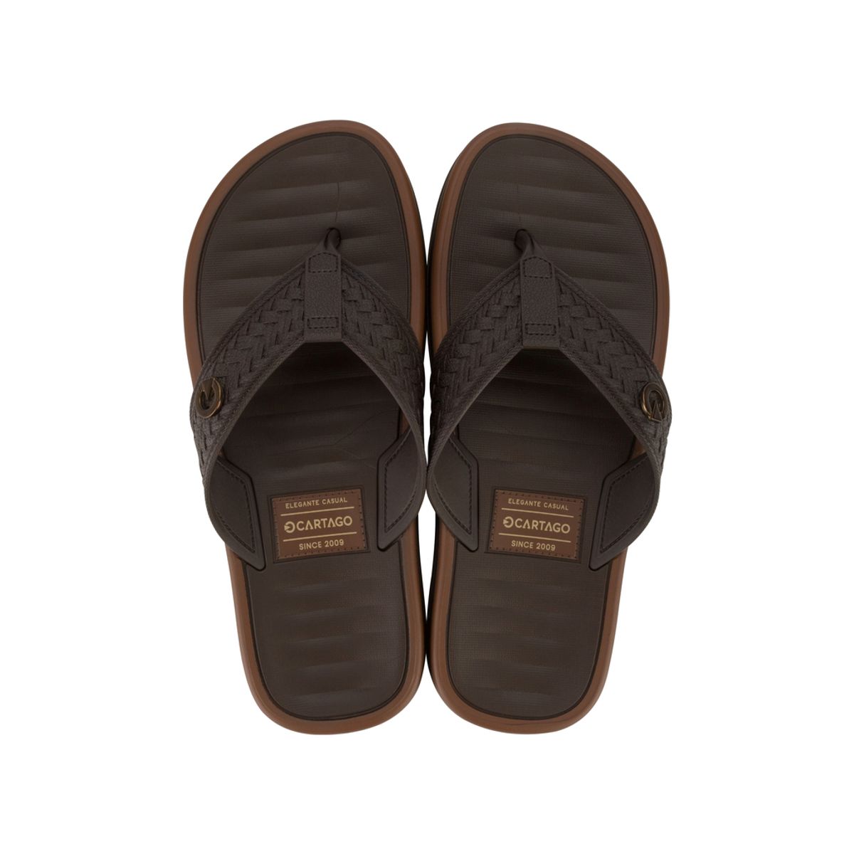 CARTAGO - Sandalia Hombre Café Coimbra Cartago