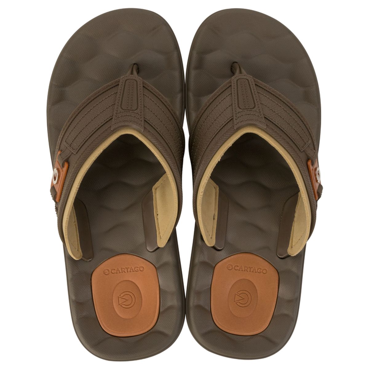 CARTAGO - Sandalia Hombre Café Egeu II Cartago