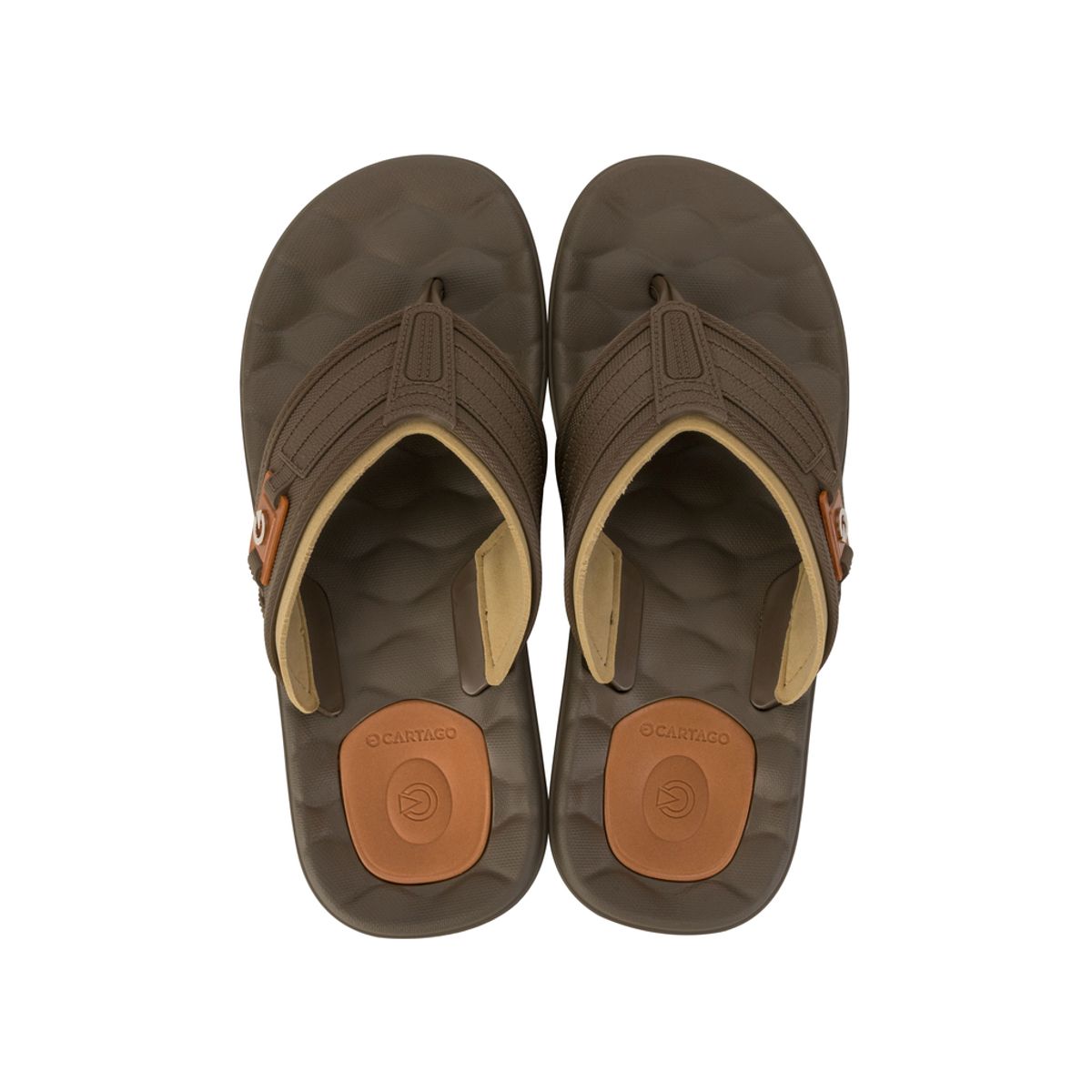 CARTAGO - Sandalia Hombre Café Egeu II Cartago