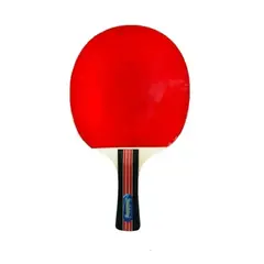 GENERICO - Set Paletas Ping Pong + 3 Pelotas + Estuche