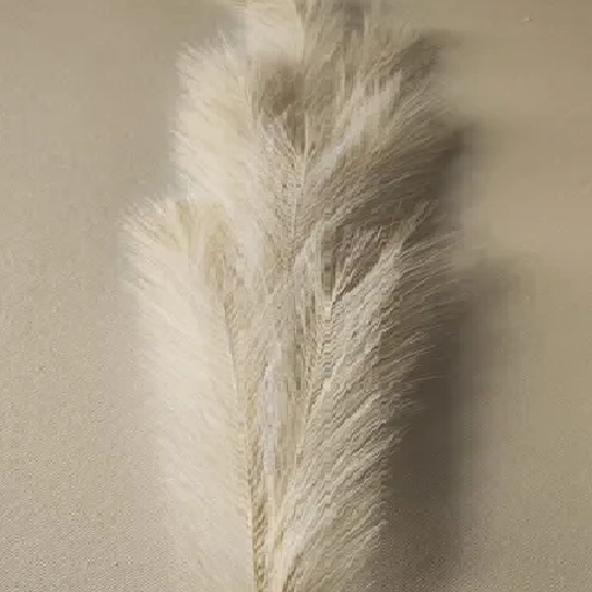 GENERICO - Cola de Zorro Decoración Pampa Boda Hogar Florero 120 m