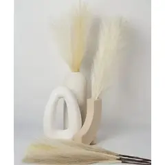 GENERICO - Cola de Zorro Decoración Pampa Boda Hogar 110 cm Boho