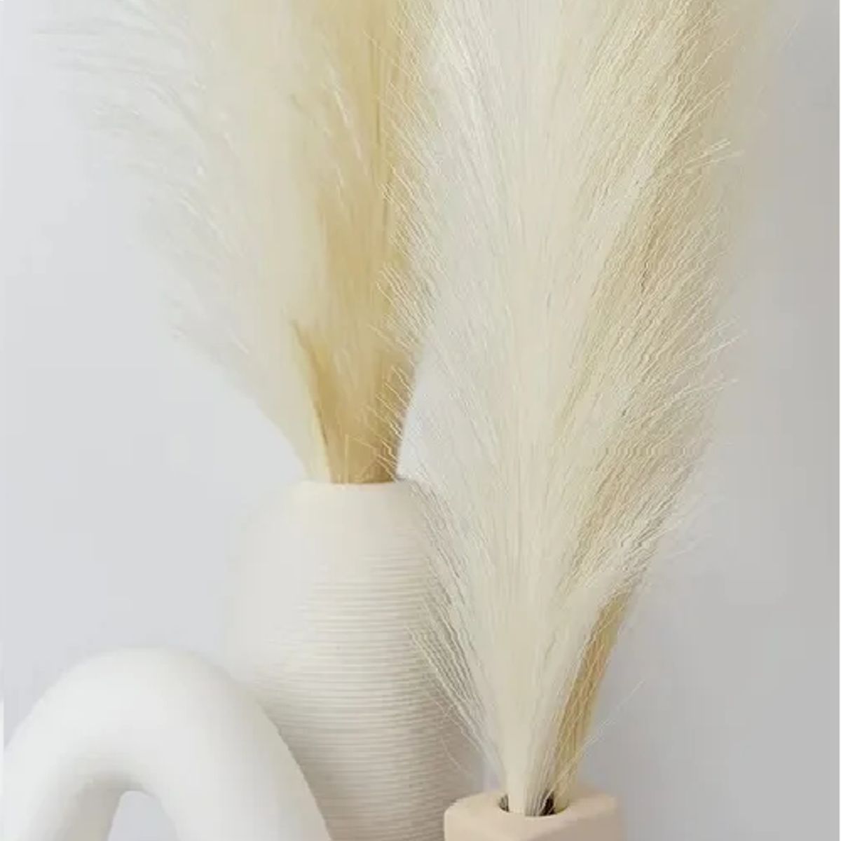 GENERICO - Cola de Zorro Decoración Pampa Boda Hogar 110 cm Boho