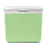 Cooler Portátil Chiller 8.5 Lt / 9 QT Verde