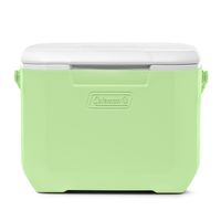Cooler Chiller Verde 15 Lt / 16 QT