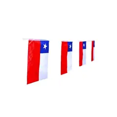 GENERICO - Guirnaldas De Género Bandera Chile Tira 320cm Pack 12 Unidades