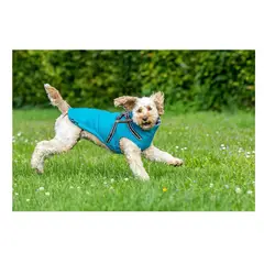 GENERICO - Chaqueta forro polar escocés perro medianoTalla XXL TURQUEZA