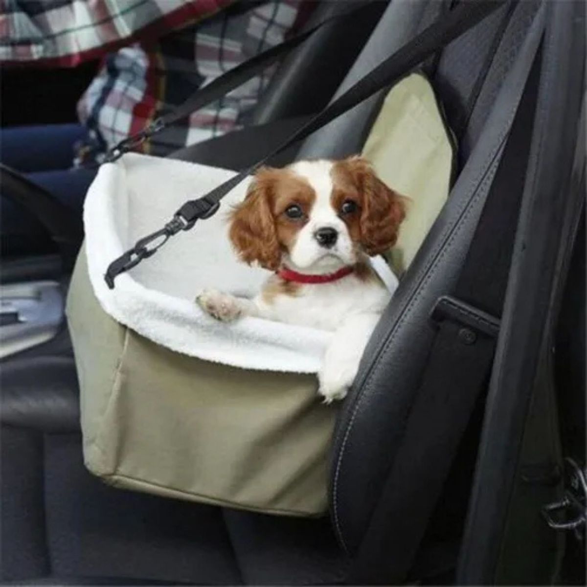 MOVI - Asiento de auto para mascotas