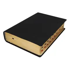 SOCIEDAD BIBLICA DE BRASIL - Biblia de Estudio Teológico Reina Valera 1960 Piel Genuina
