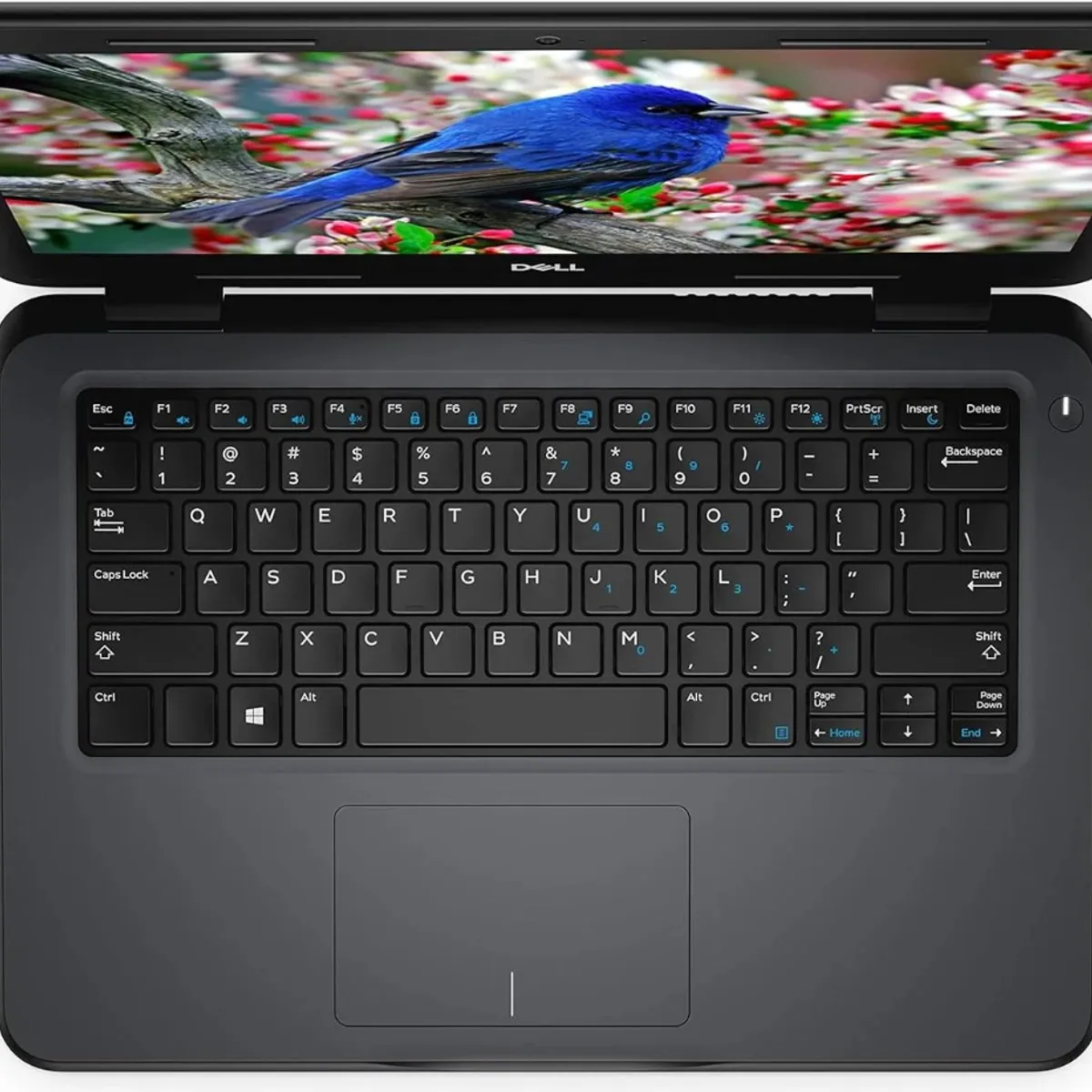 DELL - Notebook DELL CORE I5 8 GB DE RAM Y DISCO SSD
