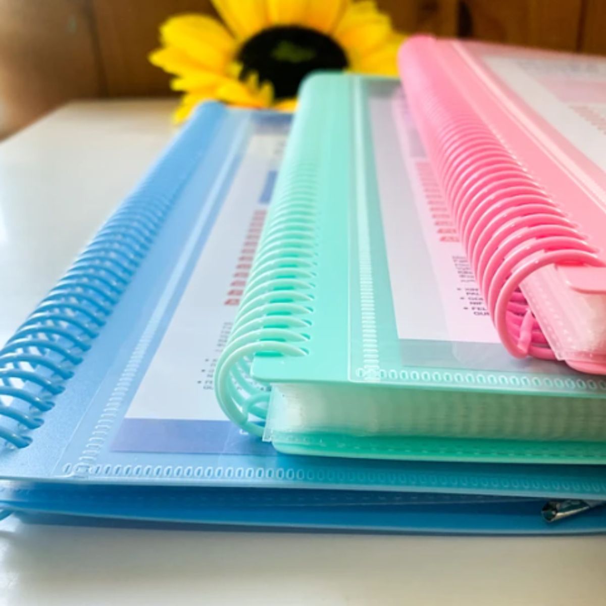 MOTARRO - Carpeta Archivadora Anillada A4 Con 30 Fundas Transparentes