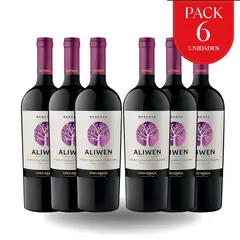 UNDURRAGA - Pack x6 Vinos Aliwen Reserva Cabernet-Carmenere