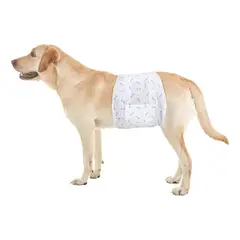 GENERICO - 12 Pañales Para Perros Pañal Gatos Mascota Pañales Talla M