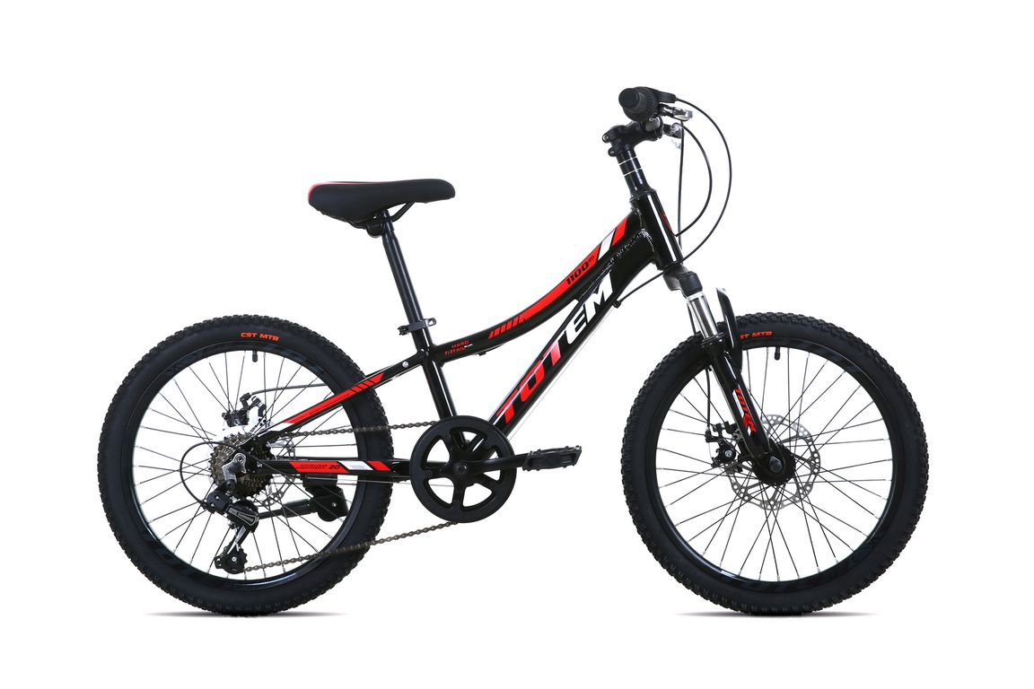 BICICLETA MTB ARO 20 MODELO 1100 NEGRO Negro XS