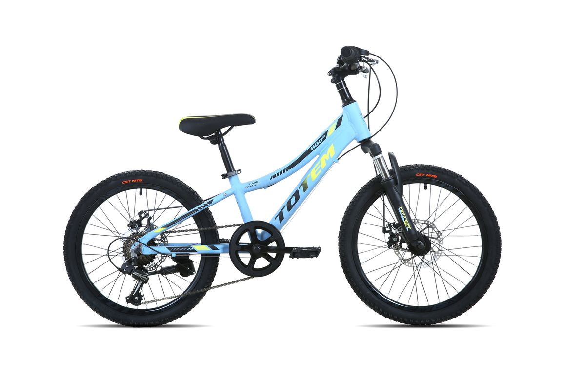 BICICLETA MTB ARO 20 MODELO 1100 CELESTE Azul XS