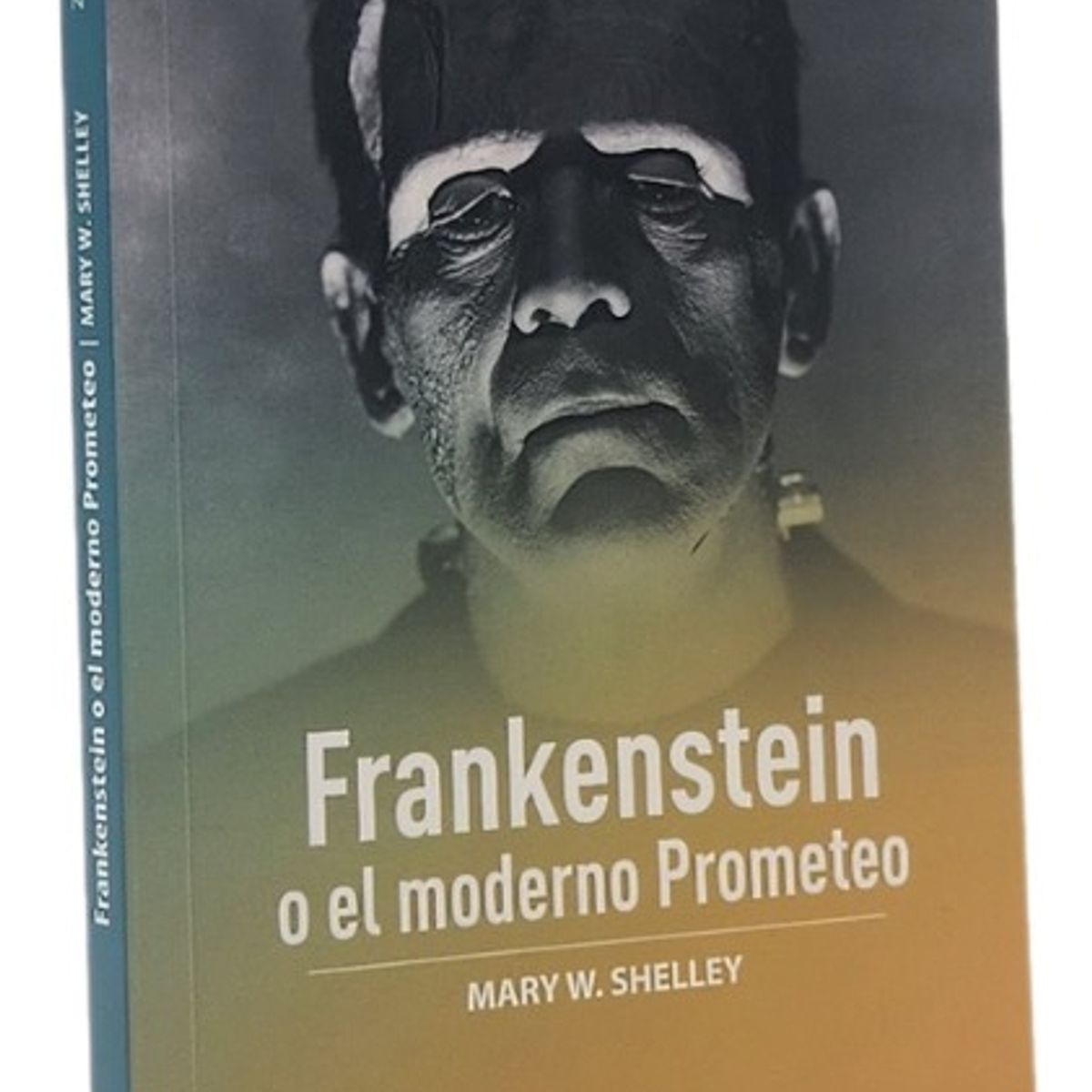 ZIG ZAG - FRANKENSTEIN O EL MODERNO PROMETEO - MARY SHELLEY