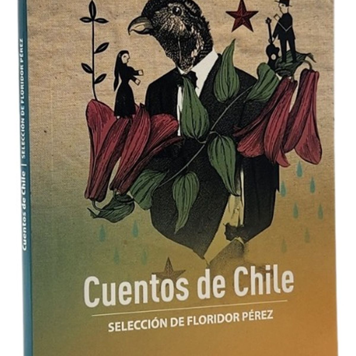 ZIG ZAG - CUENTOS DE CHILE - SELECCIÓN DE FLORIDOR PÉREZ