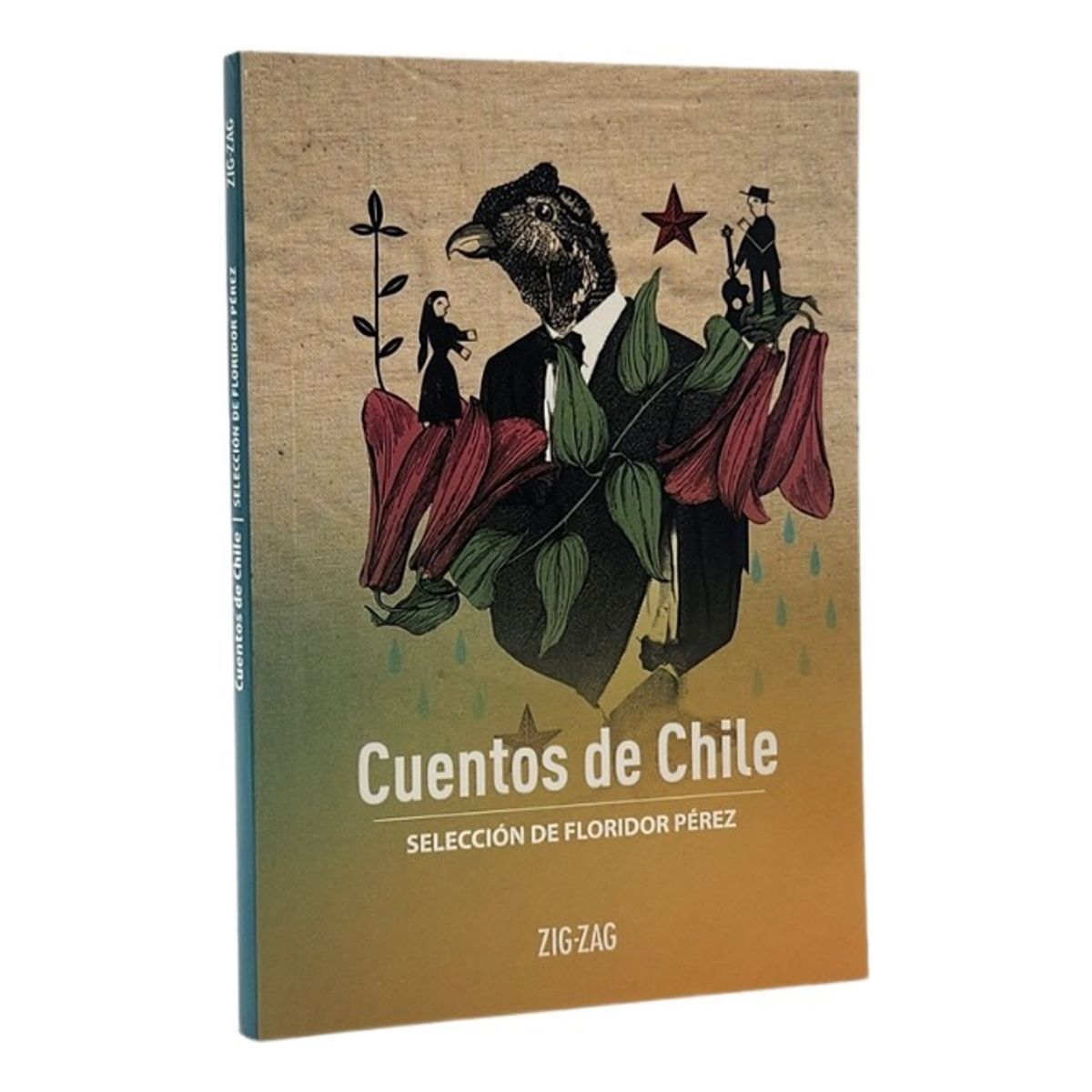 ZIG ZAG - CUENTOS DE CHILE - SELECCIÓN DE FLORIDOR PÉREZ
