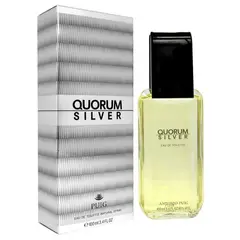 PUIG - QUORUM SILVER 100 ML EDT
