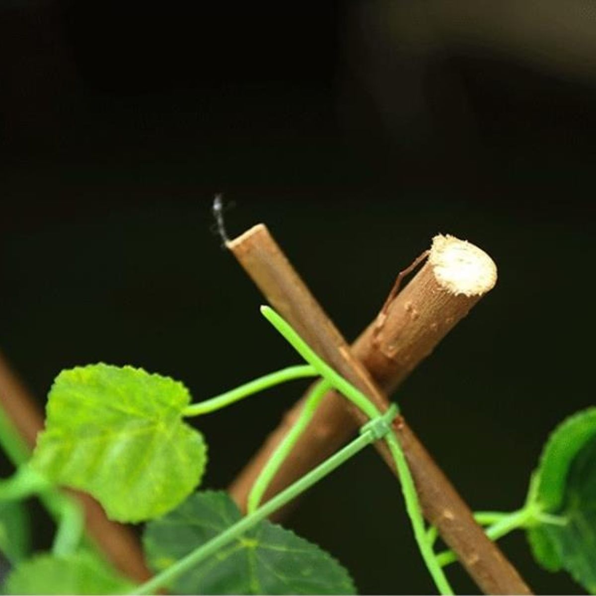 SUPERCENTER - Malla Valla Cerca Tira Planta Enredadera Artificial 70 X 160