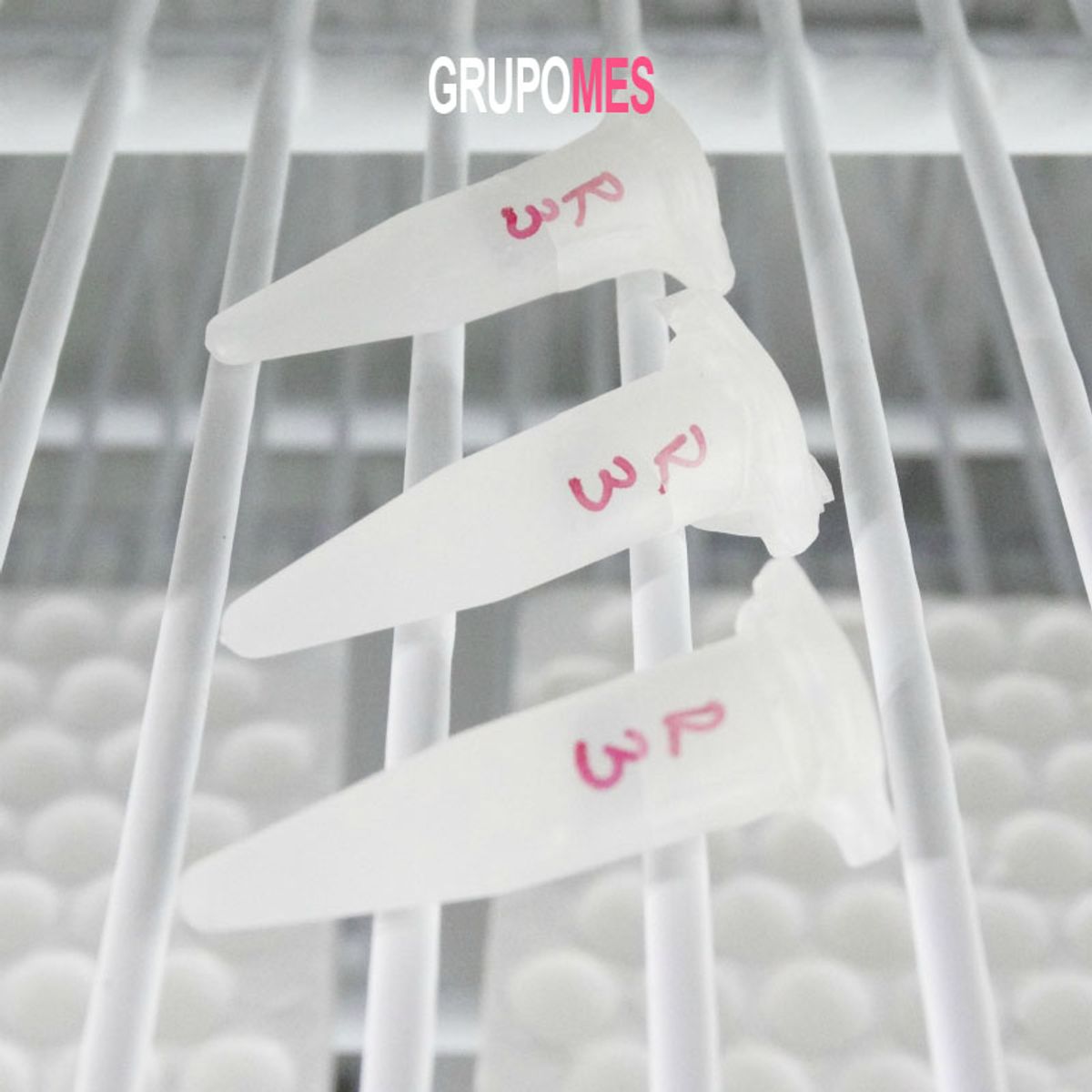 GENERICO - Tubos microcentrifuga graduados con tapa 0.2 ml (1000 und)