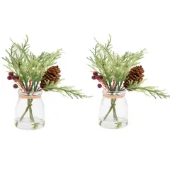 HERRERA MAISON - Set X2 Planta L19271 en Canister Vidrio