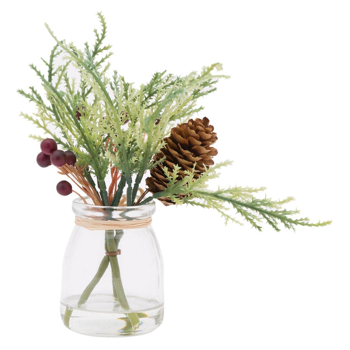 HERRERA MAISON - Set X2 Planta L19271 en Canister Vidrio