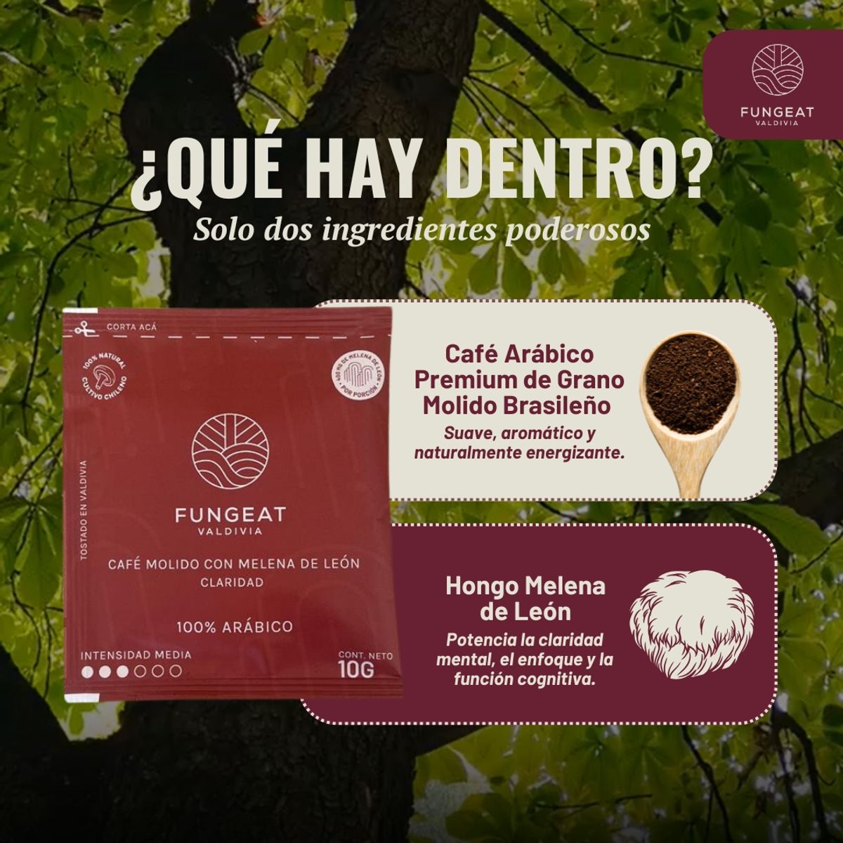 GENERICO - Drip Coffee Fungeat Claridad con Melena de León 10gr