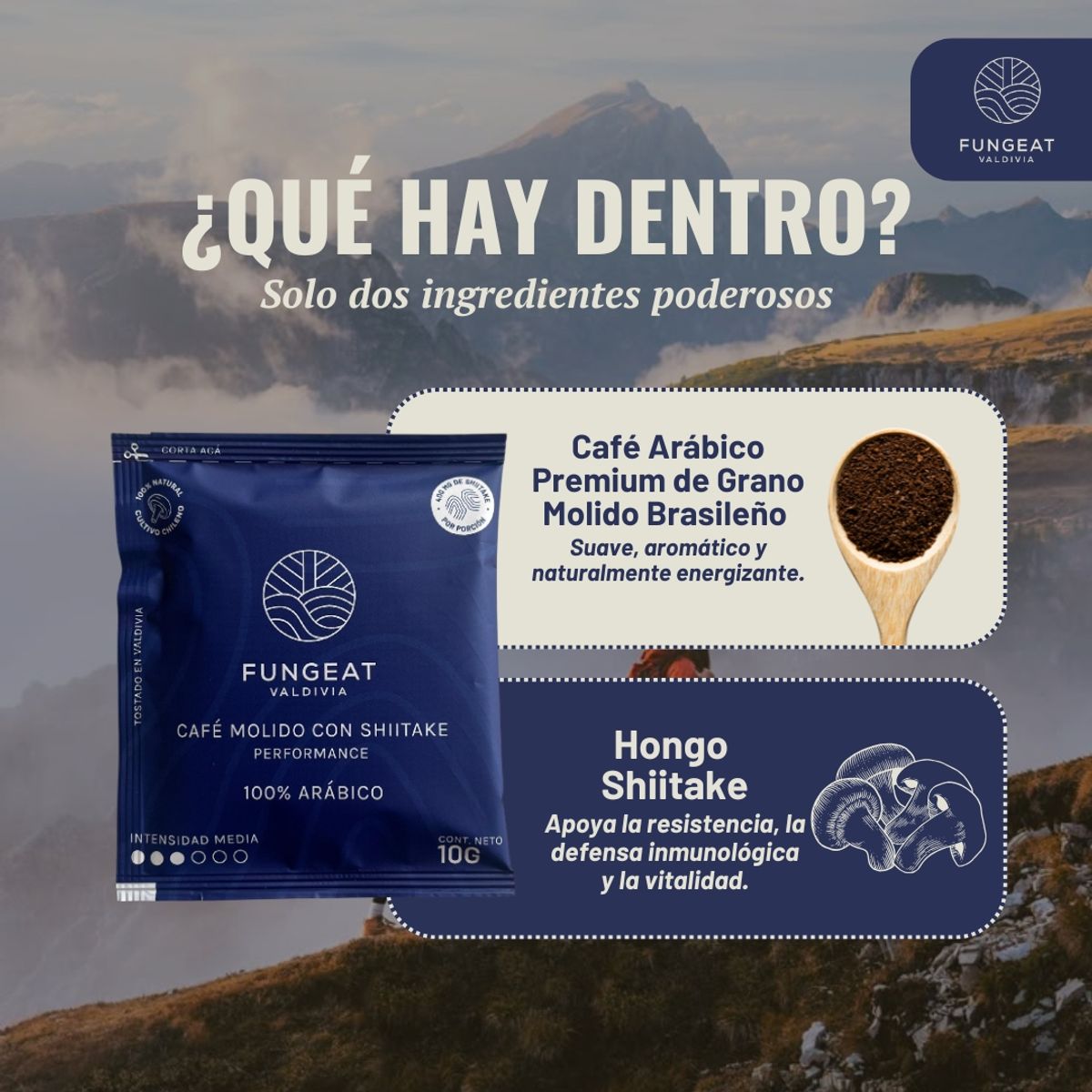 GENERICO - Drip Coffee Fungeat Performance con Shiitake 10gr