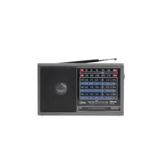 MICROLAB - Radio Recrgable Sintony CF14