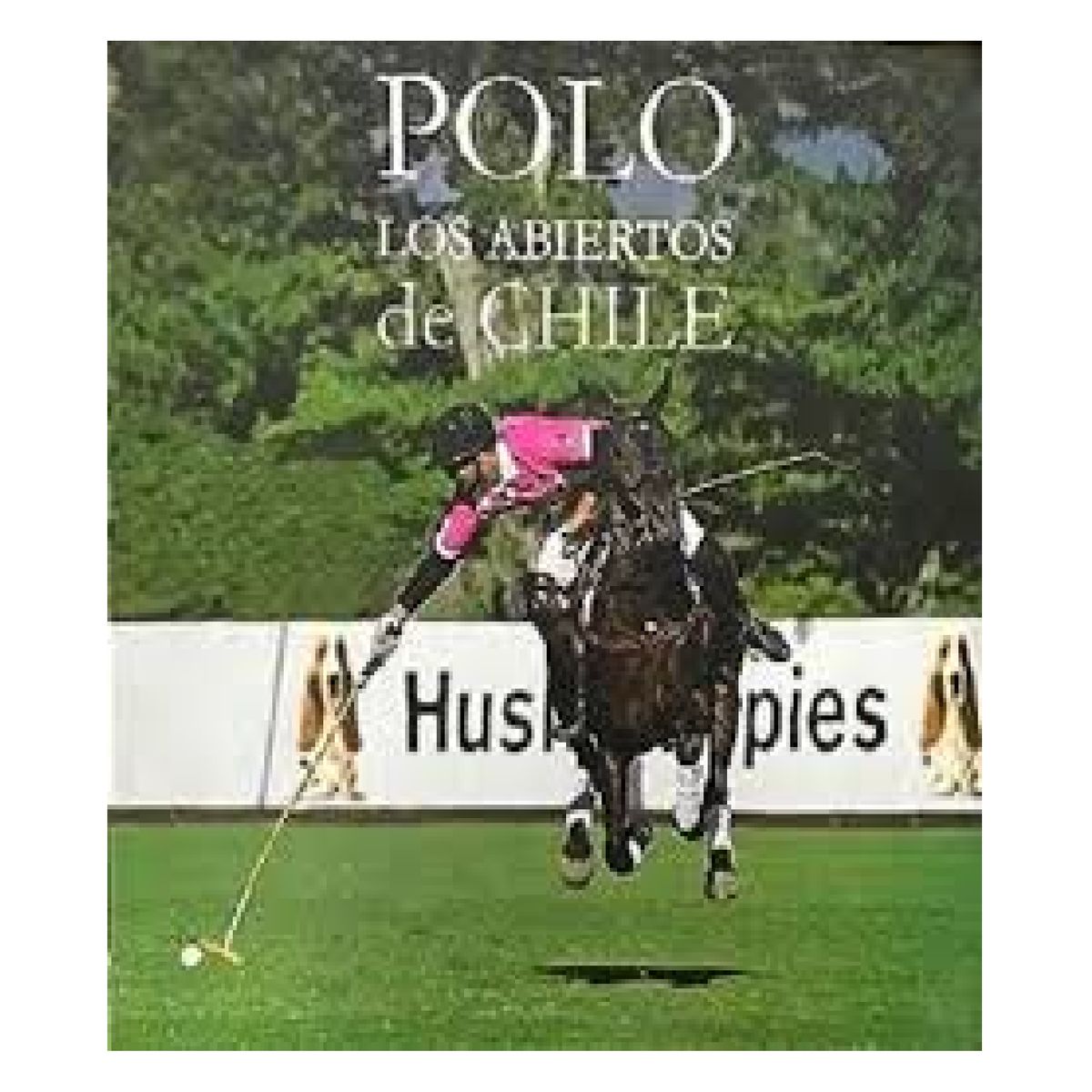 GENERICO - POLO LOS ABIERTOS DE CHILE