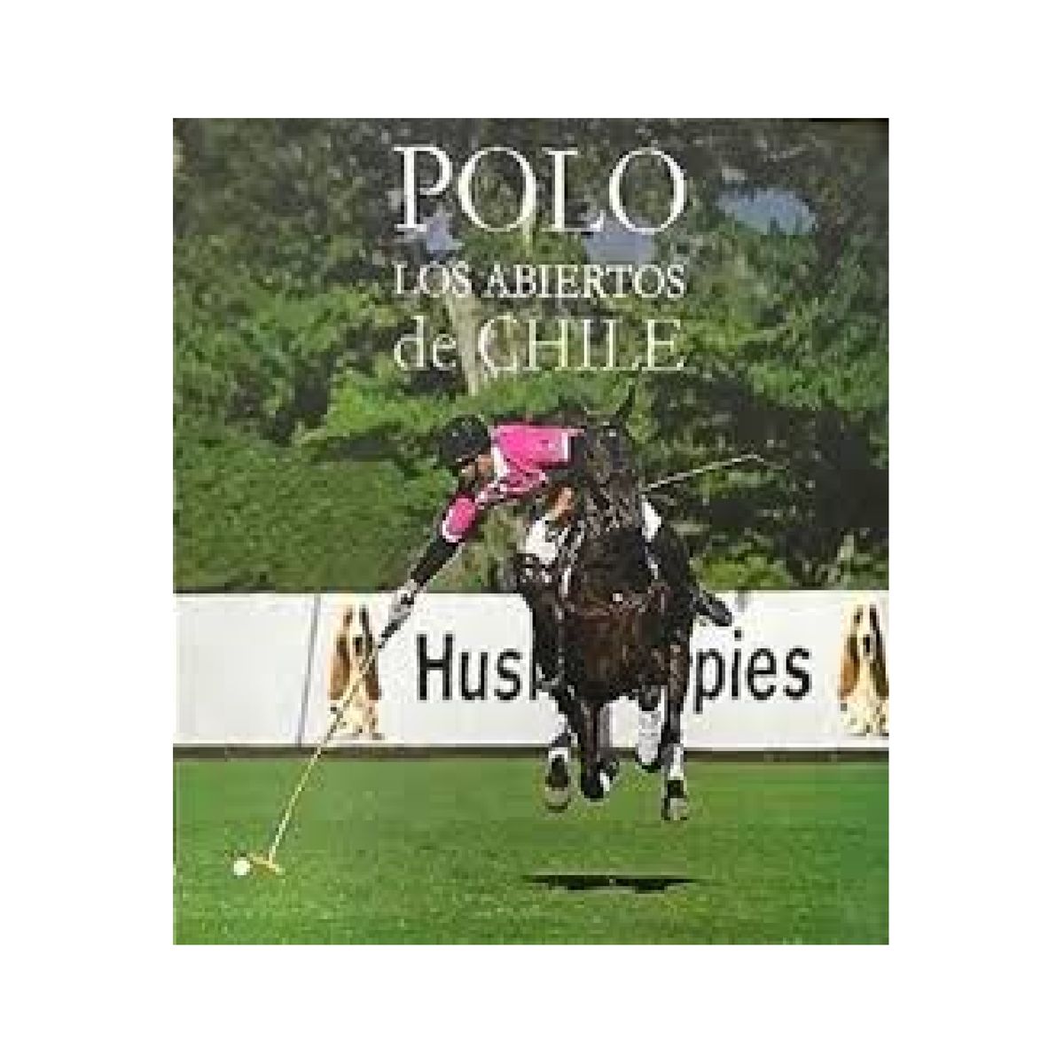 GENERICO - POLO LOS ABIERTOS DE CHILE