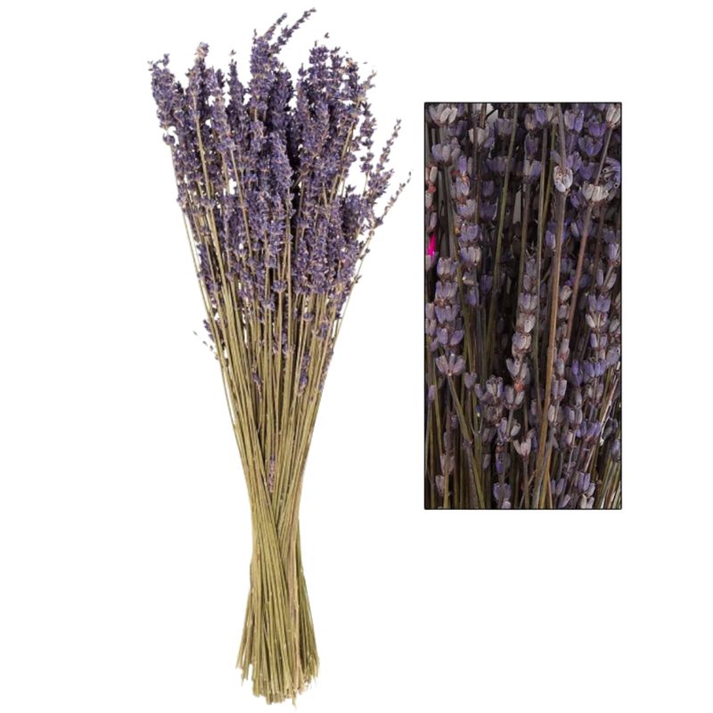 GENERICO - Flores Secas Ramo De Lavanda Natural Con Aroma