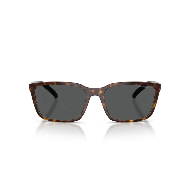 ARNETTE - Anteojos De Sol Arnette AN4311 Havana Dark Grey Polar Havana Hombre