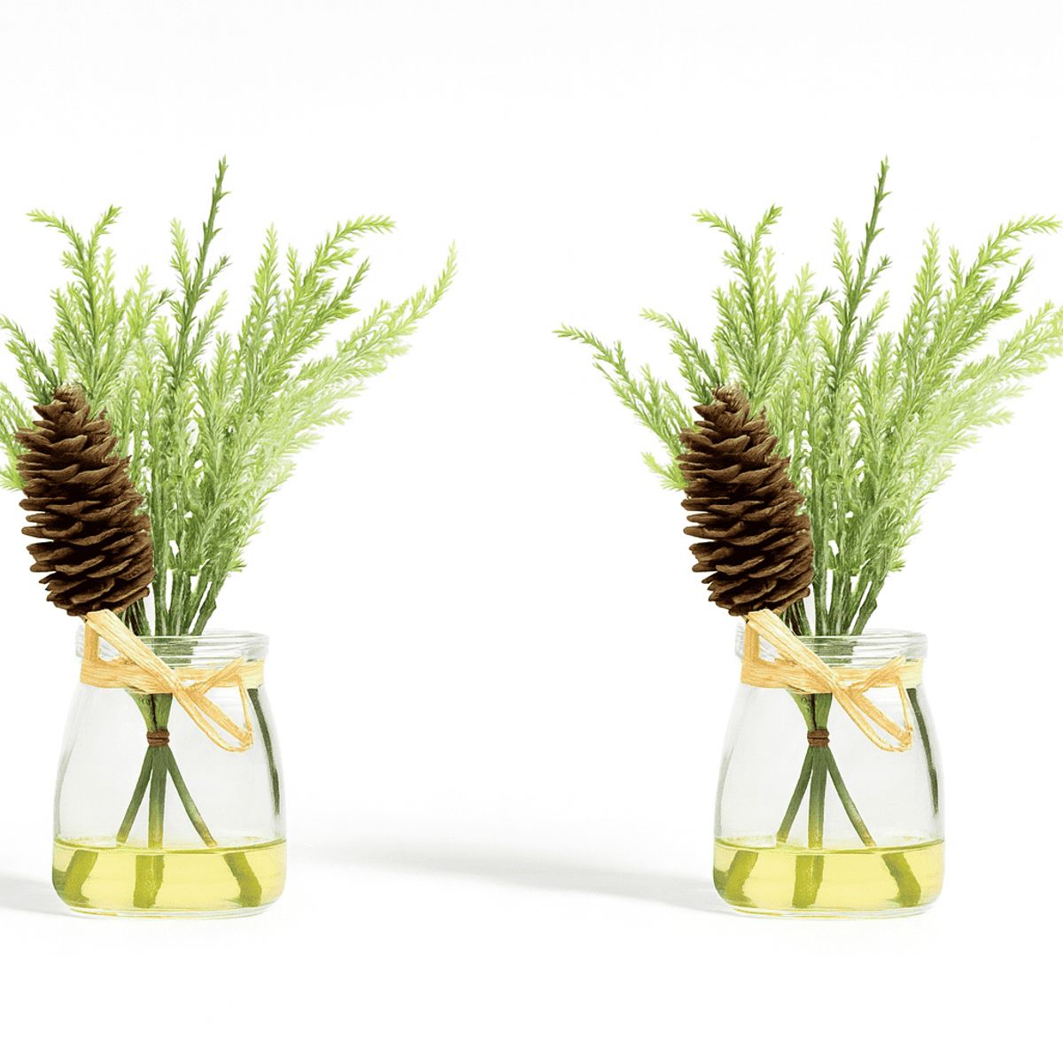 HERRERA MAISON - Set X2 Planta L19271-2 en Canister Vidrio