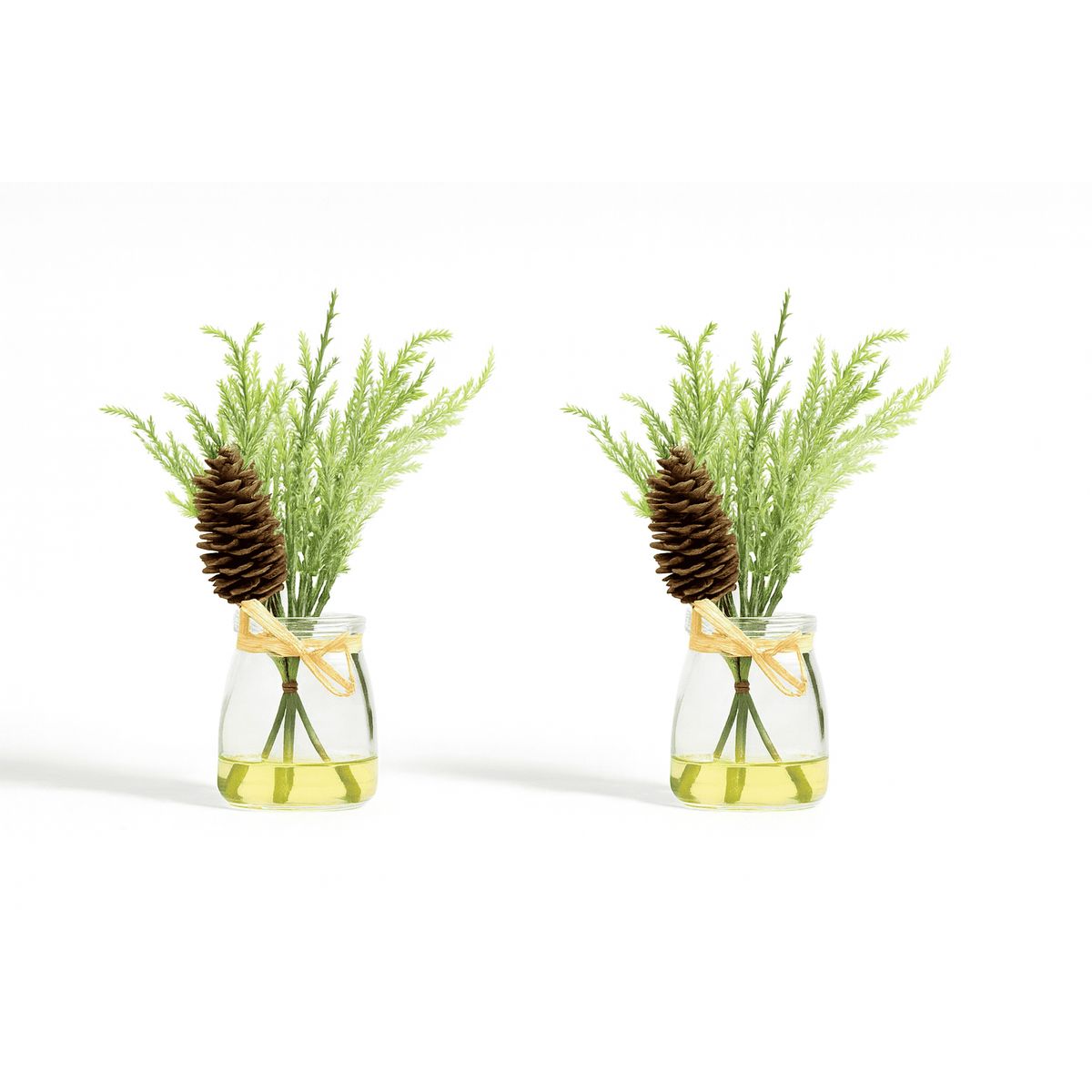 HERRERA MAISON - Set X2 Planta L19271-2 en Canister Vidrio
