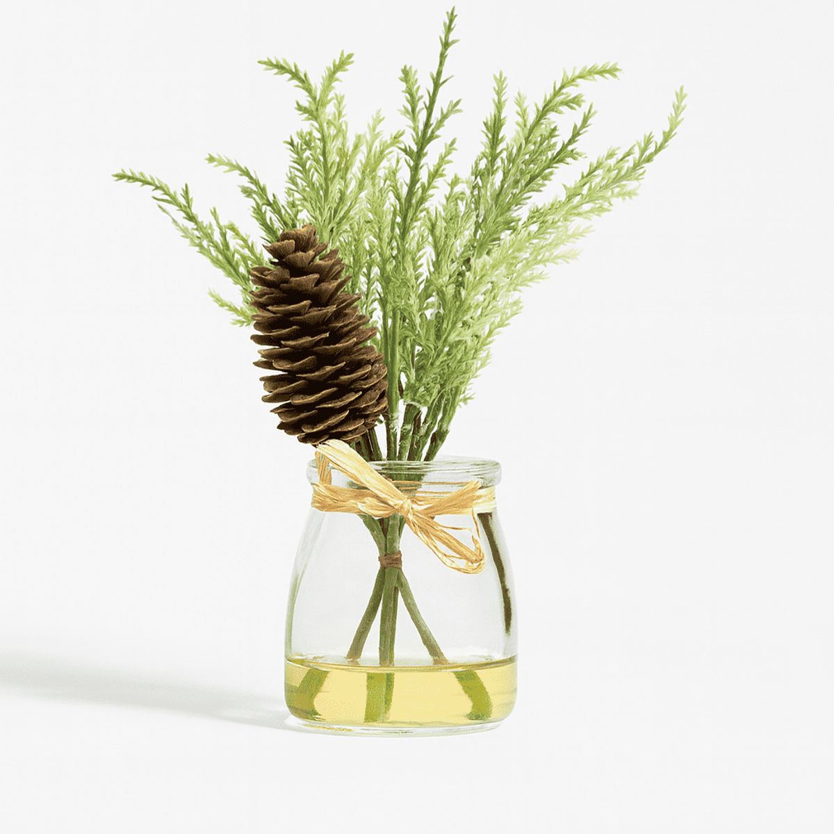 HERRERA MAISON - Set X2 Planta L19271-2 en Canister Vidrio