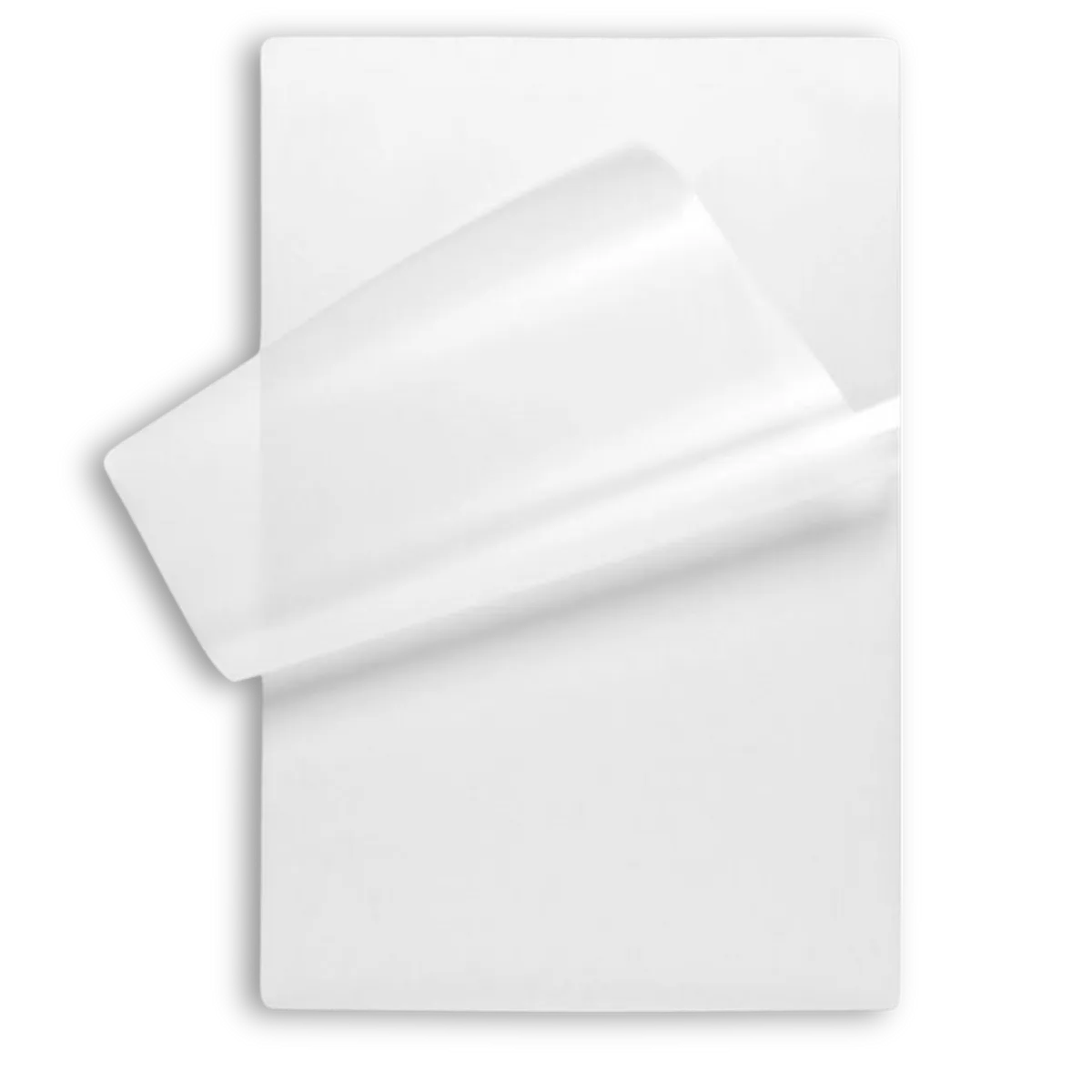 PACIFIC COLOR - Pack de 100 Micas para Termolaminar de 125 Micras