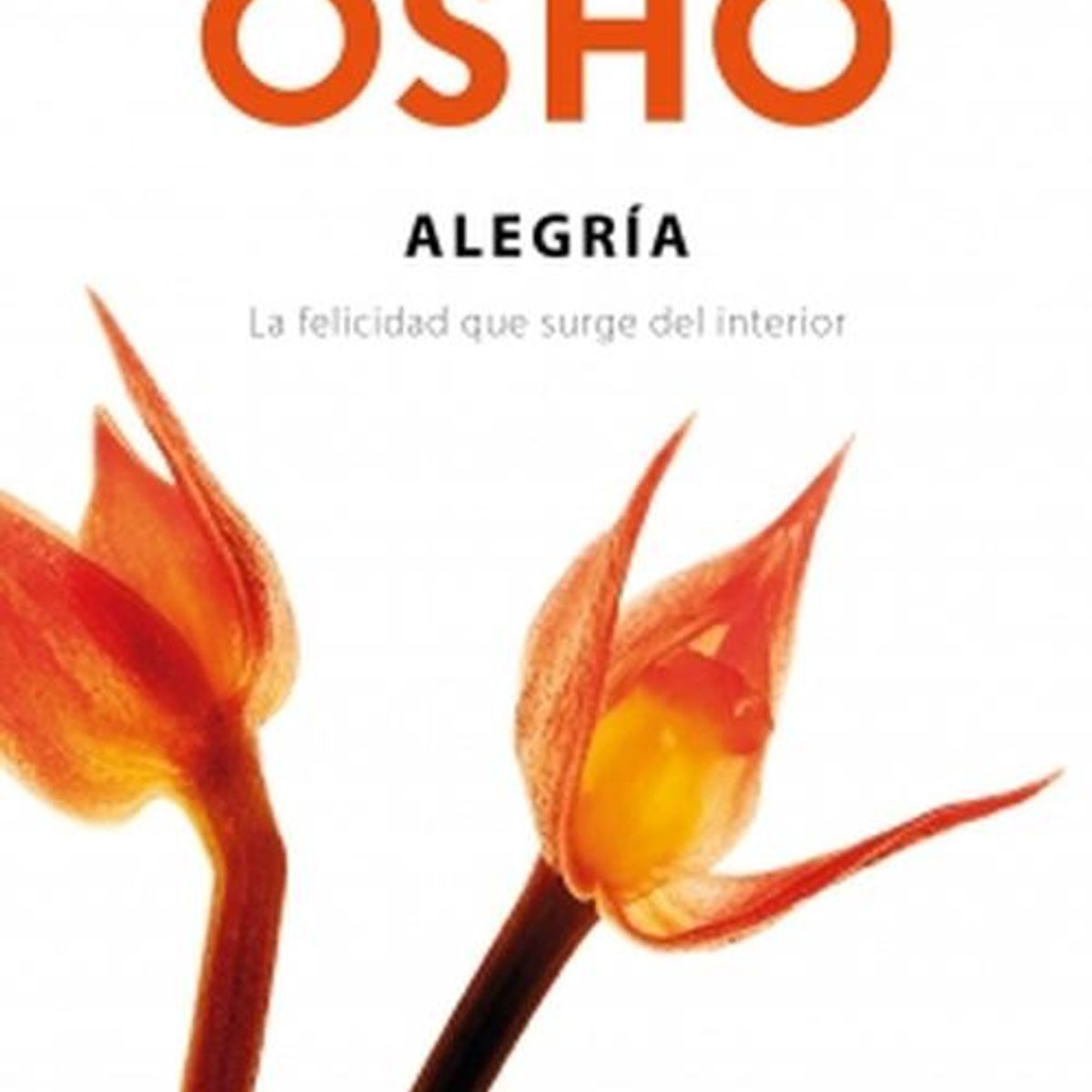 DEBOLSILLO - Libro Alegría - Osho