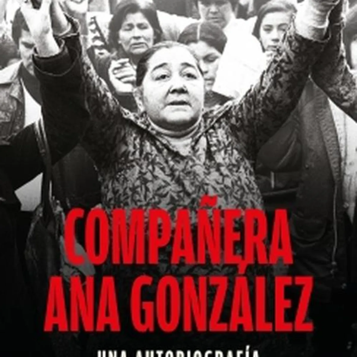 EDICIONES B - Libro Compañera Ana González - Ana González