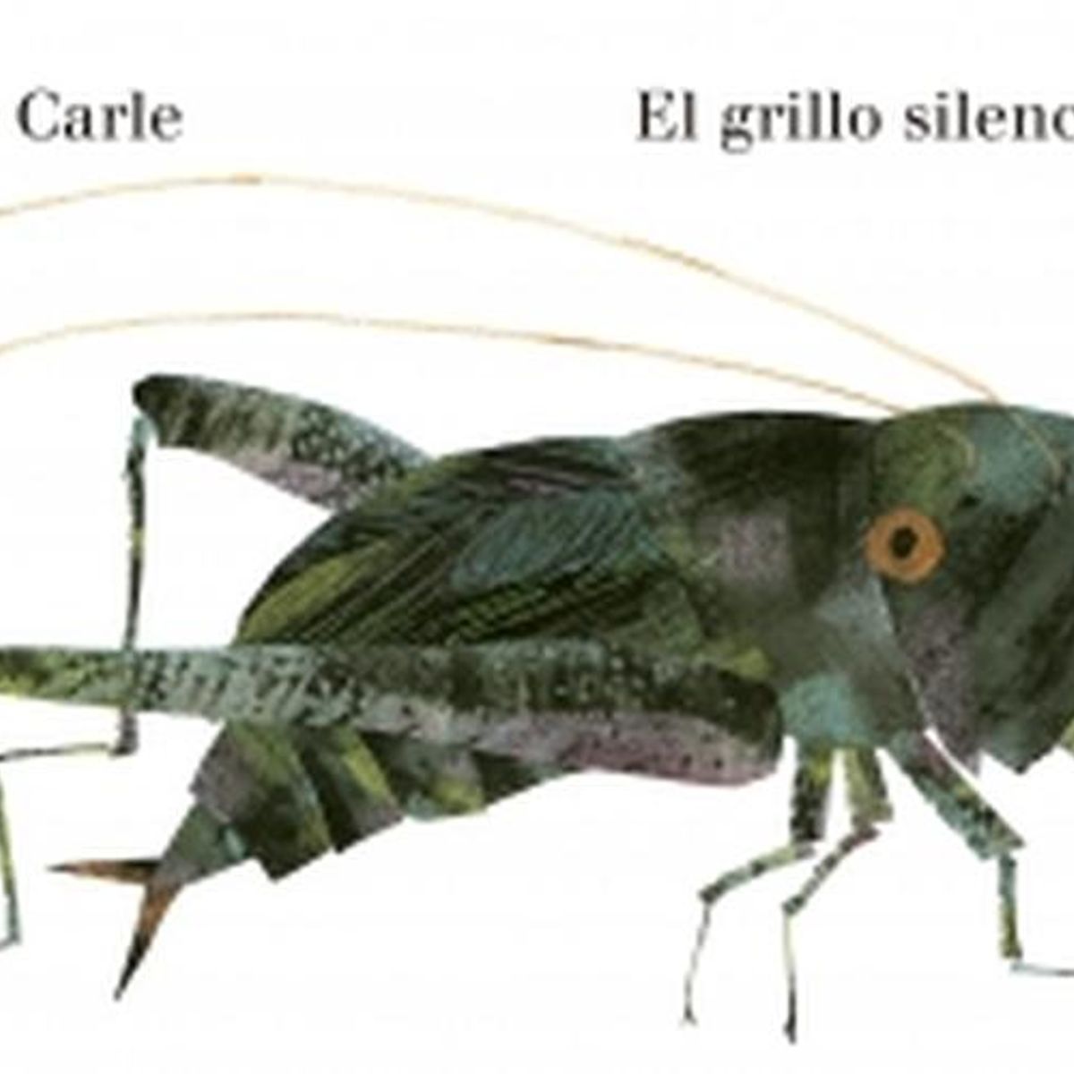 BEASCOA - Libro El grillo silencioso - Eric Carle